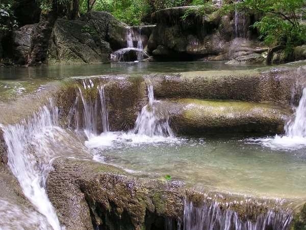 P1010188.jpg