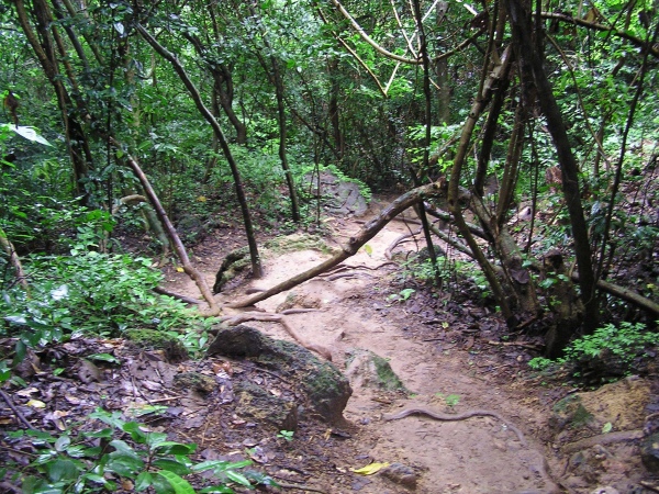 P1010194.jpg