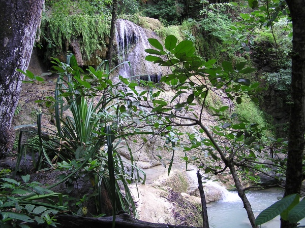 P1010197.jpg