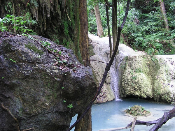 P1010201.jpg