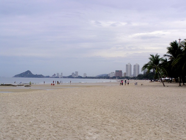 P1010219.jpg