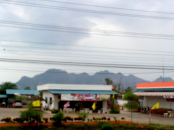 P1010231.jpg