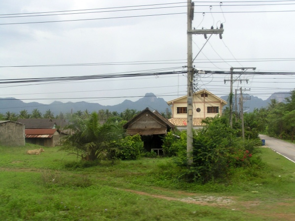 P1010234.jpg