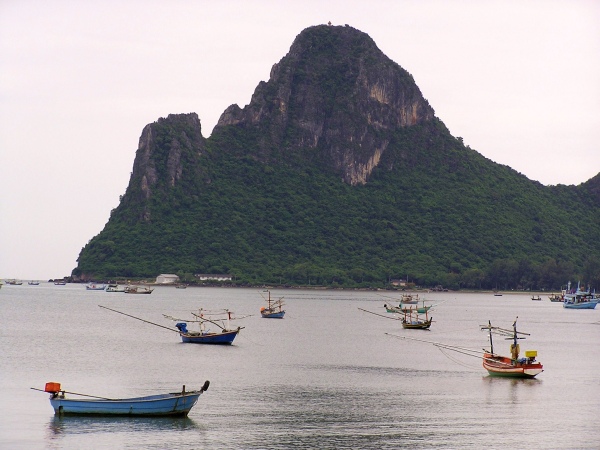 P1010236.jpg