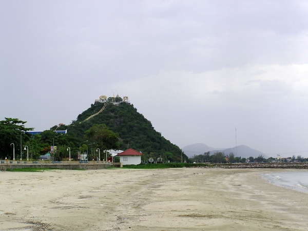 P1010238.jpg