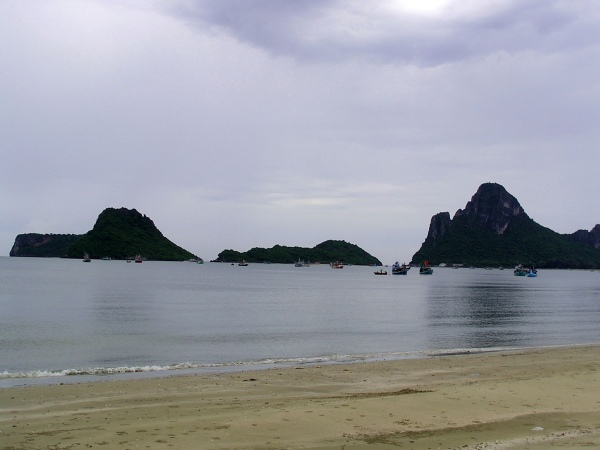 P1010239.jpg