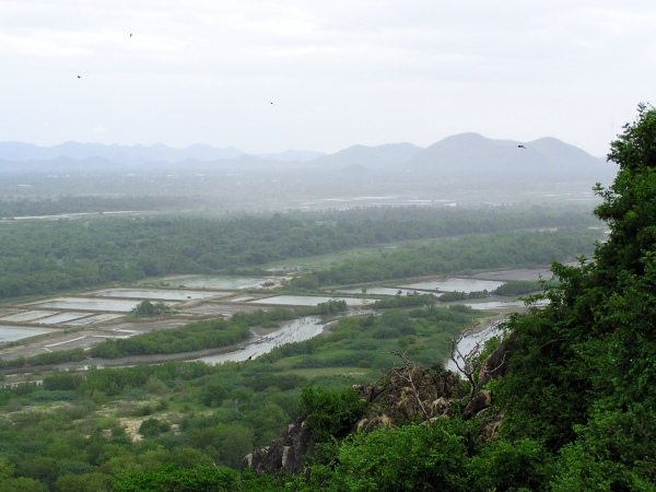 P1010257.jpg