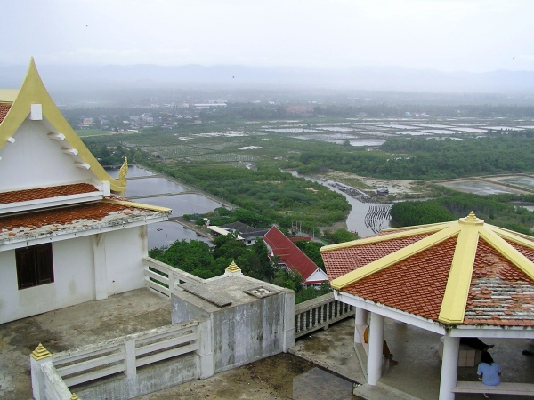 P1010258.jpg