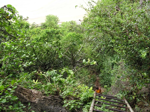 P1010271.jpg