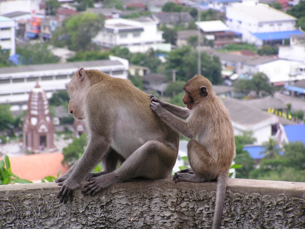 P1010277.jpg