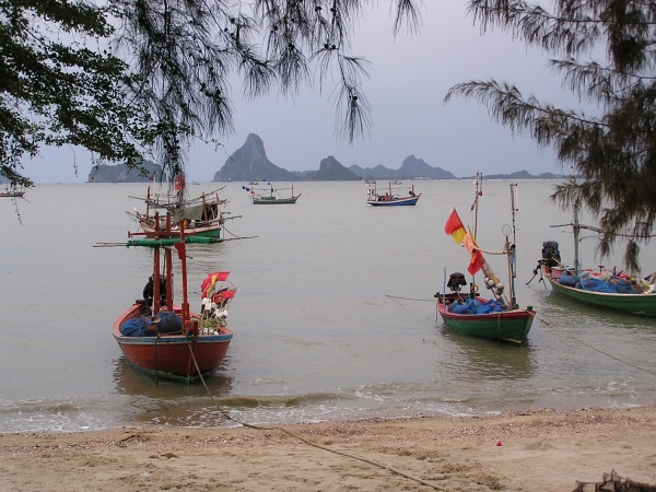 P1010285.jpg