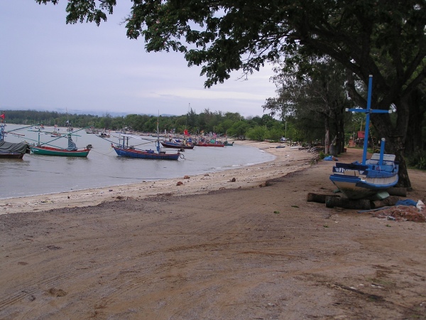 P1010286.jpg