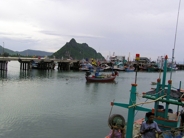 P1010292.jpg