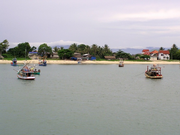 P1010293.jpg