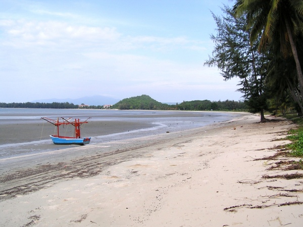 P1010302.jpg