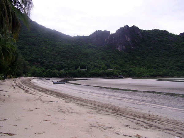 P1010303.jpg