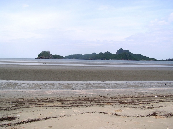 P1010304.jpg