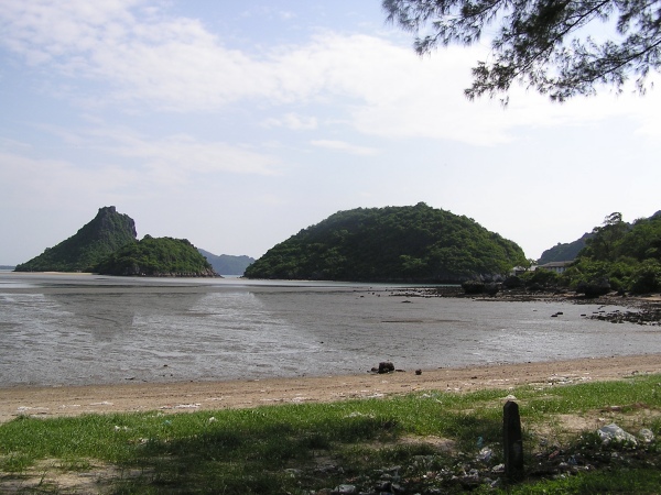 P1010314.jpg