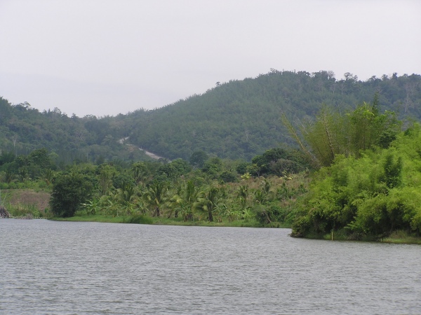 P1010331.jpg