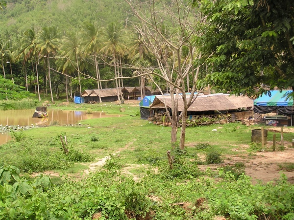 P1010334.jpg