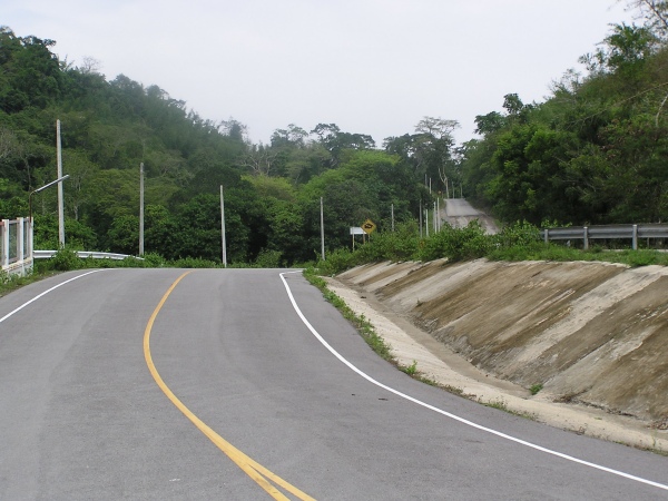 P1010338.jpg