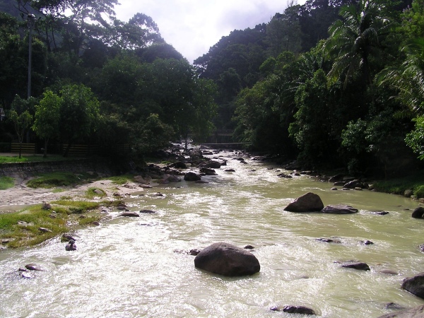 P1010366.jpg