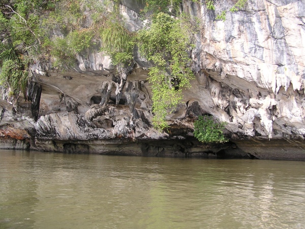 P1010387.jpg
