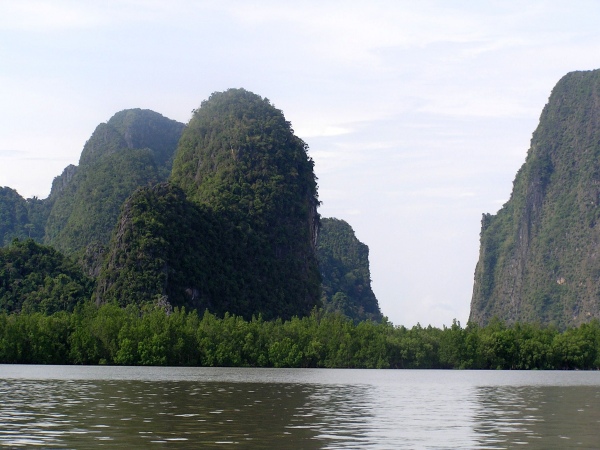P1010400.jpg