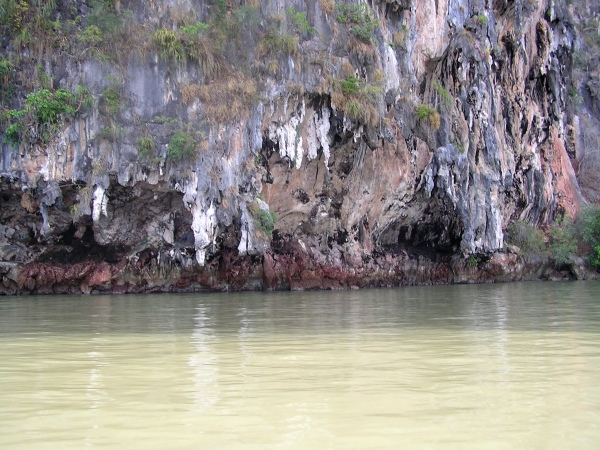 P1010403.jpg