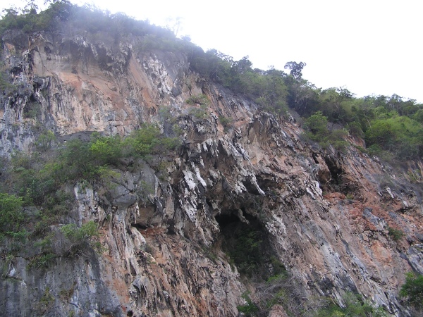 P1010404.jpg