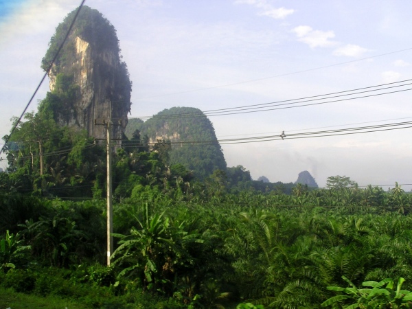 P1010440.jpg