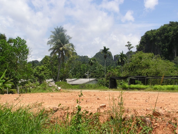 P1010455.jpg