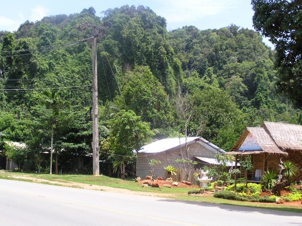 P1010456.jpg