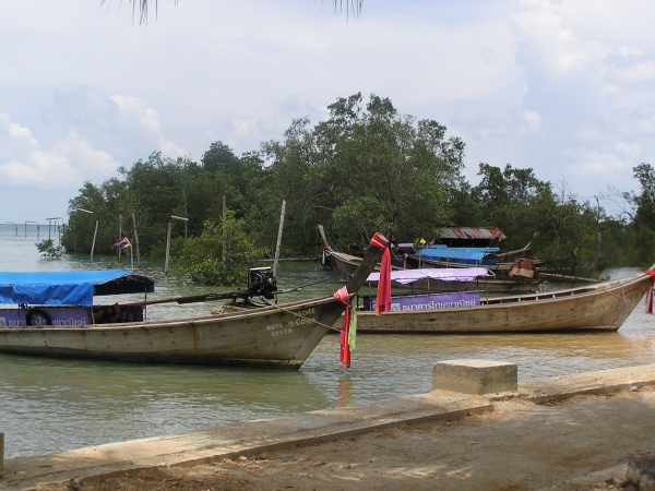 P1010458.jpg