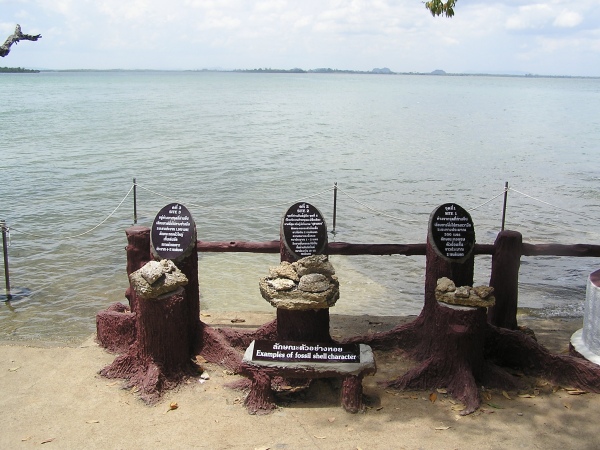 P1010463.jpg