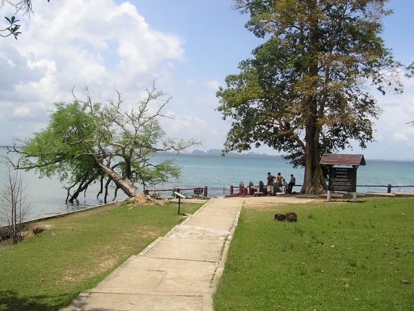 P1010464.jpg