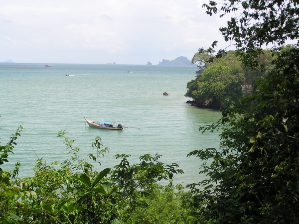 P1010465.jpg