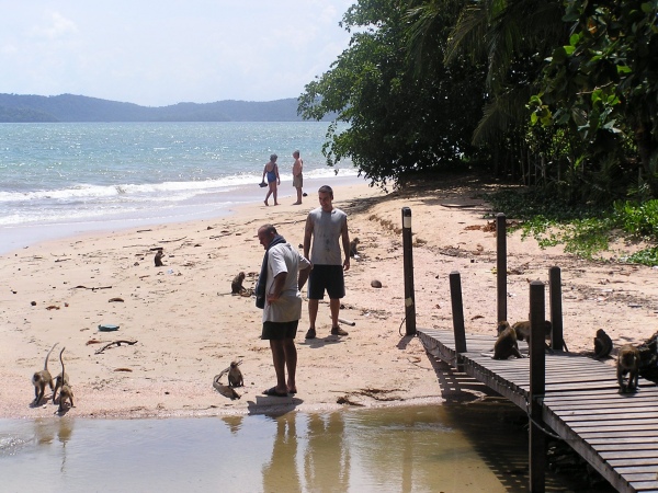 P1010486.jpg