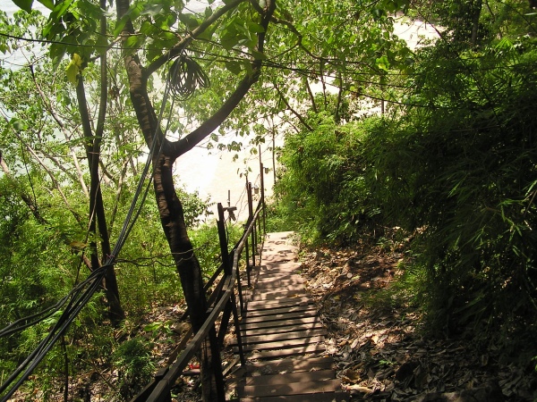 P1010489.jpg