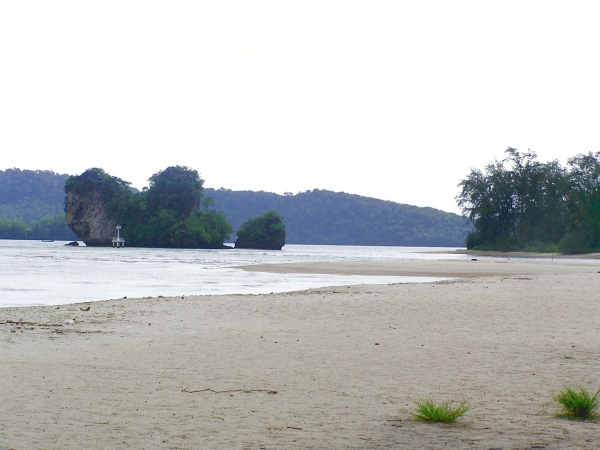 P1010513.jpg
