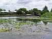 P1010092.jpg