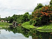 P1010093.jpg