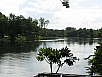 P1010134.jpg