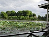 P1010145.jpg
