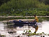P1010148.jpg
