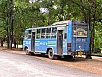 P1010155.jpg