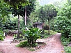 P1010161.jpg