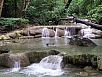 P1010162.jpg