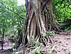 P1010163.jpg