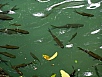 P1010173.jpg